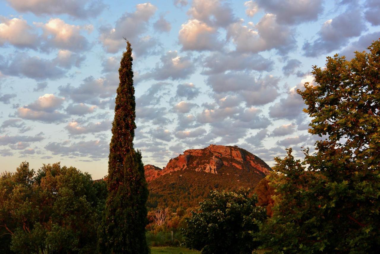 شقة L'Albaida, Tranquility, Views Of Sea And Mountains Vilanova de Escornalbou المظهر الخارجي الصورة