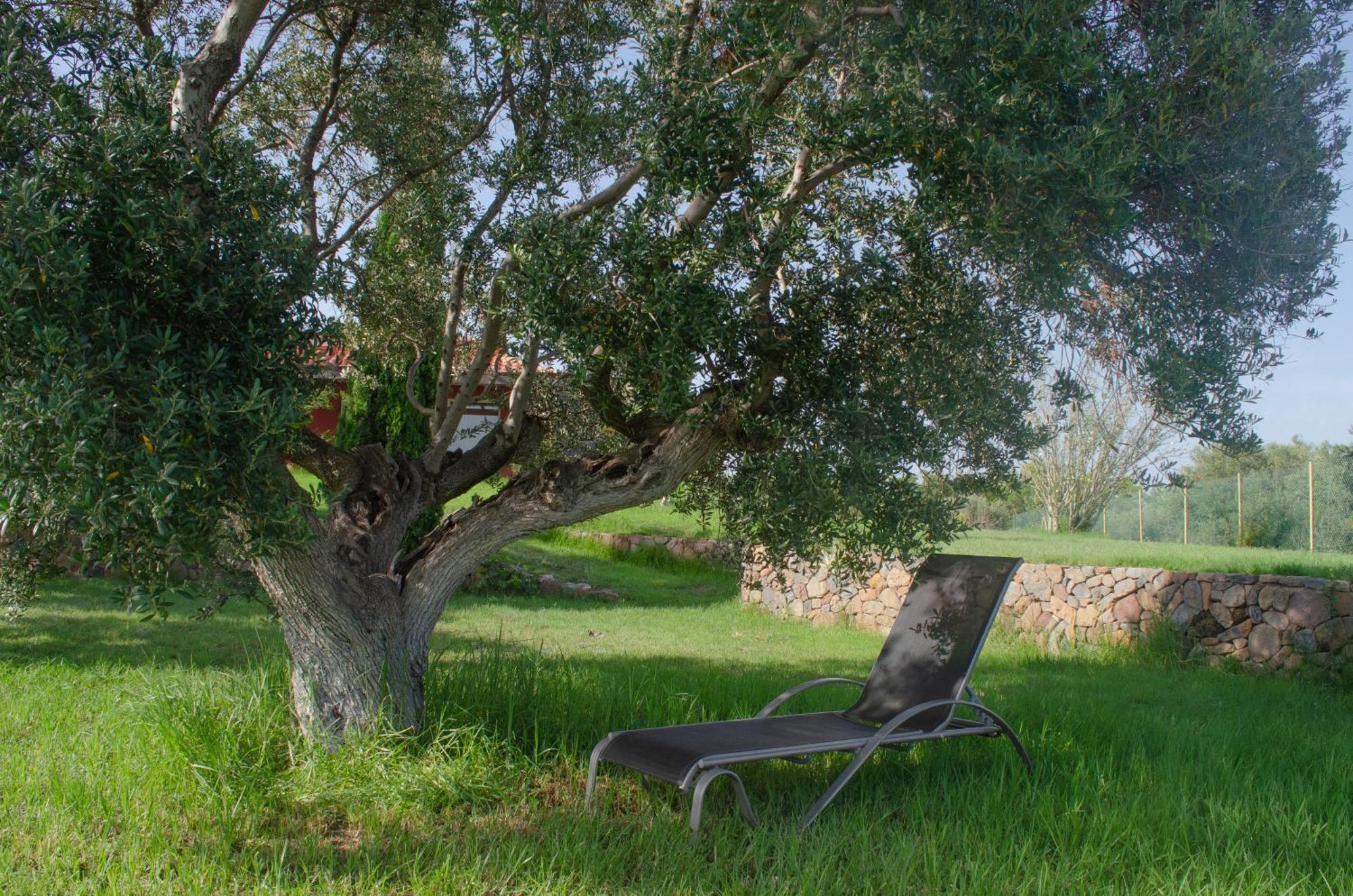 شقة L'Albaida, Tranquility, Views Of Sea And Mountains Vilanova de Escornalbou المظهر الخارجي الصورة